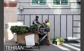 شهرنگار؛ محله بریانک 4