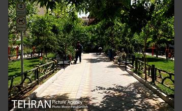 بوستان های خیابان ولیعصر 19