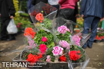 بازار گل و گیاه غرب تهران در آستانه نوروز 33