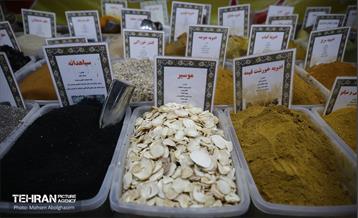 افتتاح جشنواره اقوام و گذر گردشگری دارالمومنین تهران 23