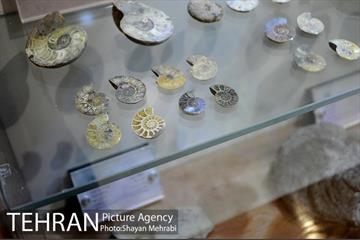 موزه طبیعت و حیات وحش دارآباد تهران 40