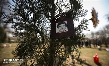 سنت حسنه درختکاری، یادبود شهدای منطقه6