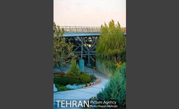 پاییز پل طبیعت 28