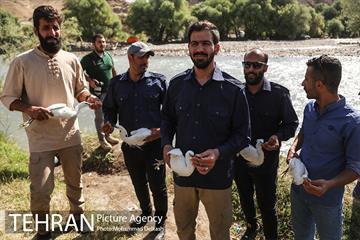 آزادسازی پرندگان و جمع آوری زباله در پارک جنگلی خجیر 16