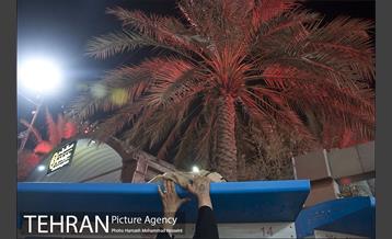 زائران اربعین حسینی 2 25