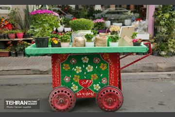 آیین محله تکانی در شهرک بیمه 1