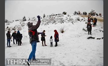 تفریحات برفی مردم پایتخت 3