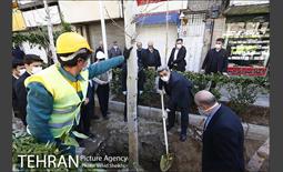 مراسم کاشت درخت در خیابان ولیعصر  15