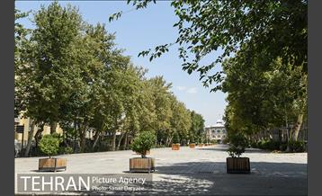 بازدید اعضا شورای شهر از محوطه سردرب باغ ملی و میدان مشق 6