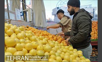 میدان میوه وتره بار شهید غیبی شهرری 17