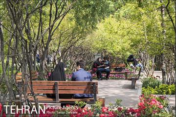 بوستان باغ ایرانی 1