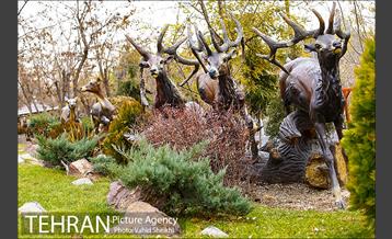 باغ راه فدک 21