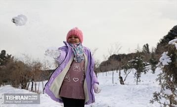 روز برفی در منطقه 13 8