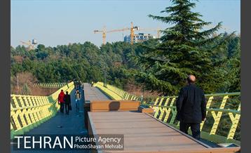 پاییز اراضی عباس آباد 9