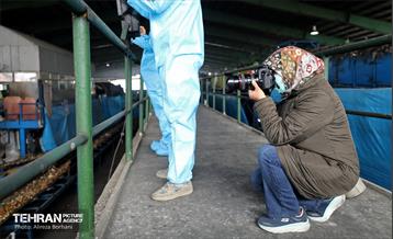 تور بازدید عکاسان از مجتمع آرادکوه 8