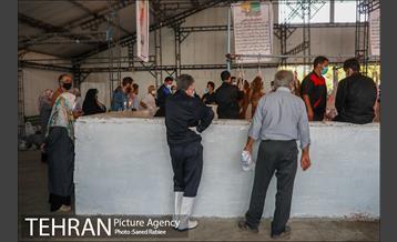 مرکز عرضه دام بهداشتی به مناسبت عید قربان در منطقه 22 تهران 16