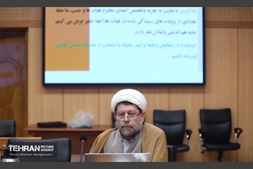 سیزدهمین نشست هیات های رسیدگی به تخلفات اداری کارمندان شهرداری تهران 11