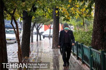 بارش باران پاییزی در تهران 16