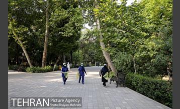 طرح پاکسازی پارک شهر تهران از فیلترهای سیگار  29