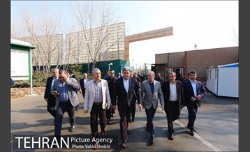 آیین کاشت درخت مادر 2