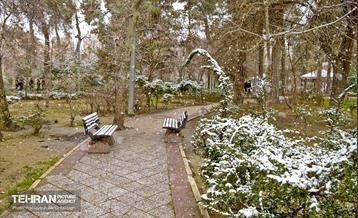 بارش برف زمستانی در منطقه 14