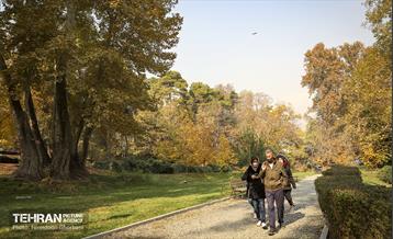 سمفونی رنگ های پاییزی - کاخ سعدآباد 10