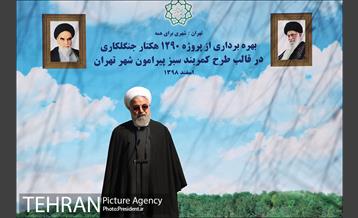 کاشتن نهال به مناسبت روز درختکاری و هفته منابع طبیعی 4