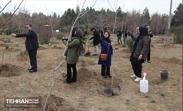 کاشت نهال یادمان تشکل ها در بوستان سمن ها 22