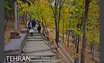 پاییز منطقه گردشگری اراضی عباس آباد 14