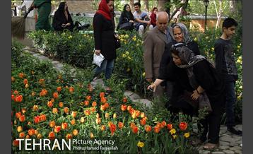لاله های بهاری بوستان مختاری 26