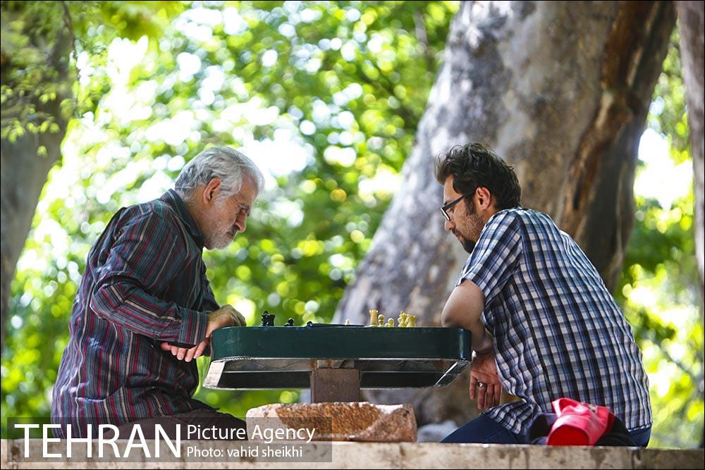 بوستان قیطریه 10