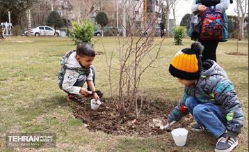 غرس ۱۱۰۰ نهال در منطقه ۱۱ 31