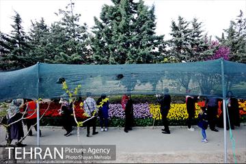 پیاده راه لاله مادران 57