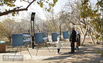 هشتادوششمین رویداد امیدوافتخار 20