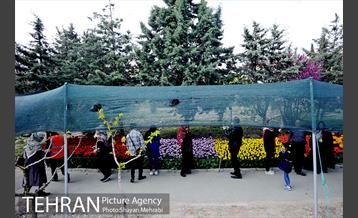 پیاده راه لاله مادران 57