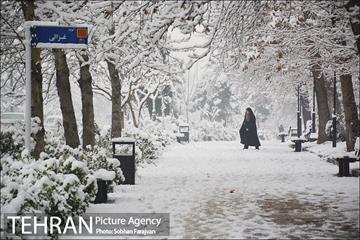 بارش برف زمستانی در تهران-2 16