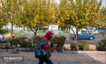 سمفونی رنگ های پاییزی  14