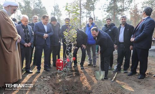 آیین کاشت ۱۰۰۰ نهال به مناسبت میلاد با سعادت حضرت علی (ع) 18
