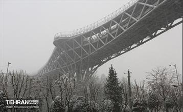 پل طبیعت سپیدپوش شد 14