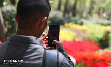 باغ ایرانی میزبان لاله‌ها 52