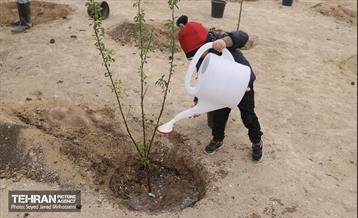 آیین روز درخت‌کاری و پایان پروژه کاشت ۲۵۰۰ هکتار کمربند سبز پایتخت  9