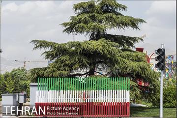 جشنواره بهارستان 42