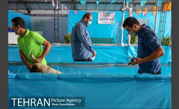 مرکز عرضه دام بهداشتی به مناسبت عید قربان در منطقه 22 تهران 27