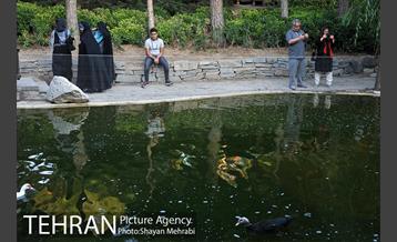 باغ پرندگان تهران 50