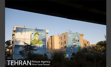 میدان شقایق‎ 20