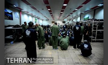 گرمخانه ها، دور از سرما 28