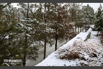 روز برفی در منطقه 22 13