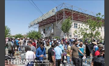 مرکز خرید و فروش پرندگان زینتی غرب تهران (خلیج)  29