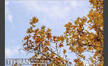 پاییز زیبای پایتخت 13