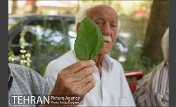 بوستان رسالت 15